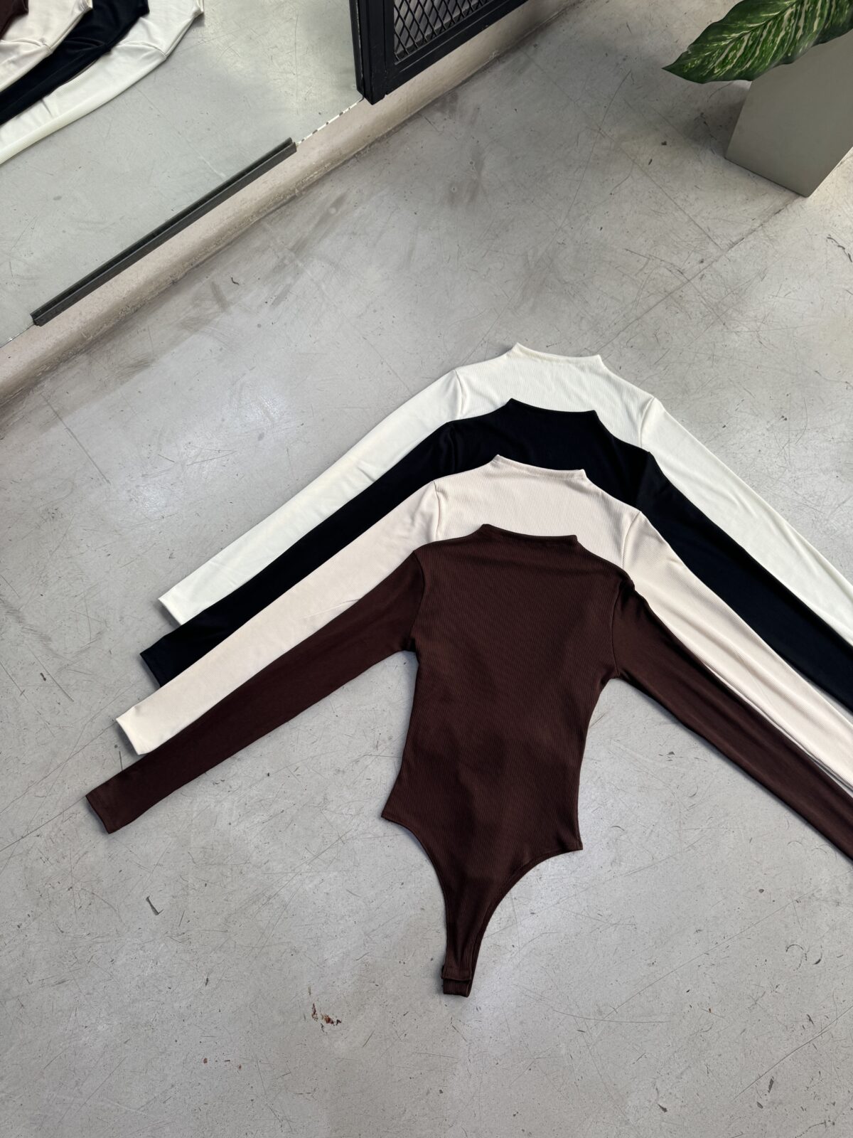 BODY ROSE